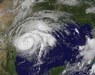 harvey-goes-82517_0